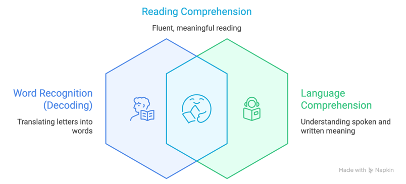 The Simple View of Reading_ Decoding vs. Comprehension - visual selection