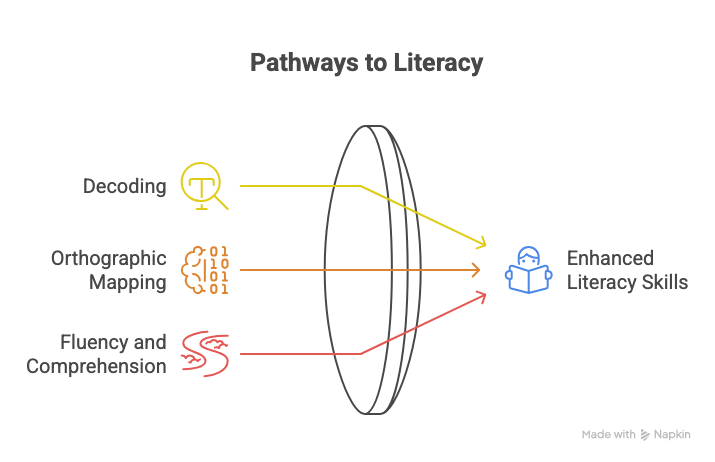 _- visual selection (2)-1