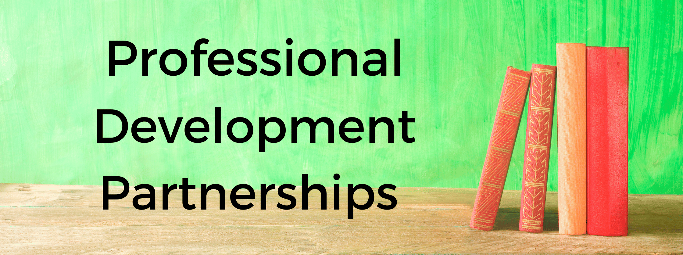 professional development partnerships
